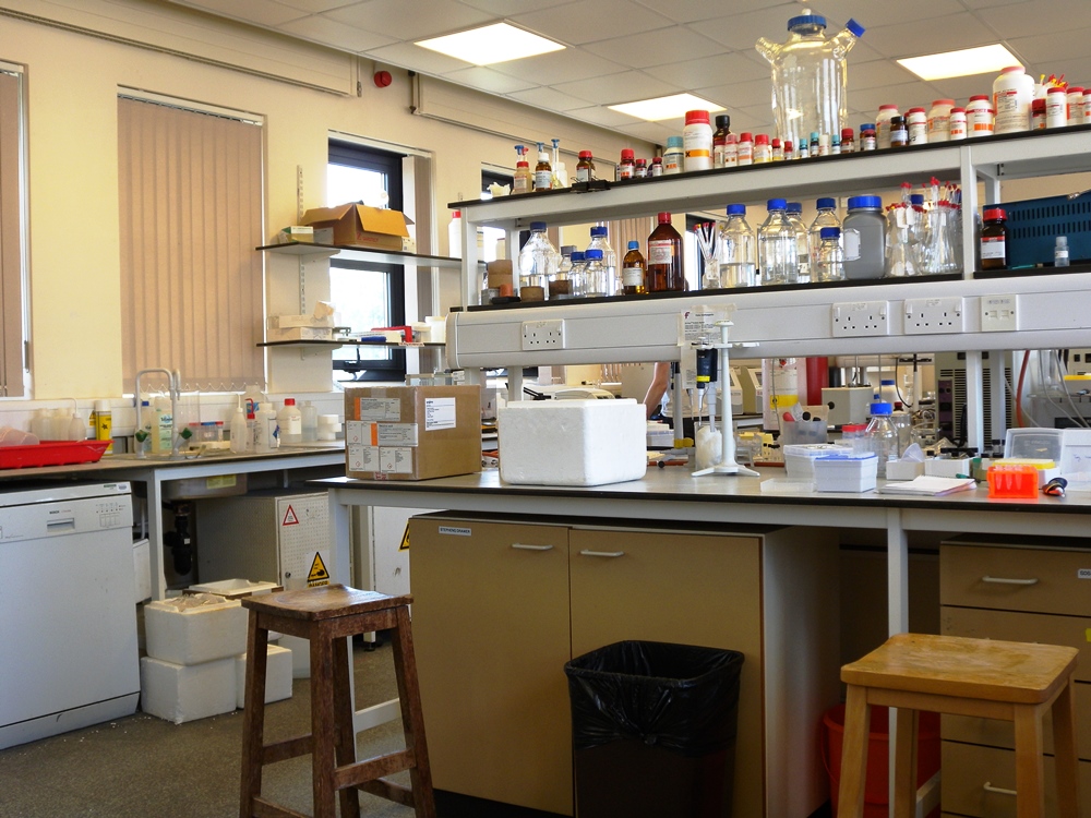 Chemistry Laboratory Access Guide