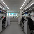 Biochemistry Building - Laboratories - (3 of 10) - Typical lab space