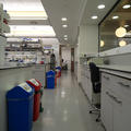 Biochemistry Building - Laboratories - (4 of 10) - Typical lab space