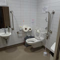 Biochemistry Building - Toilets - (3 of 8) - Lever flush on transfer side of toilet