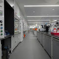Chemistry Teaching Lab - Teaching Labs - (5 of 11) - Basement lab space