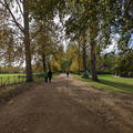 Christ Church - Meadow - (5 of 10) - Typical path