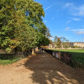 Christ Church - Meadow - (8 of 10) - Typical path