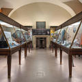 History of Science Museum - Galleries - (6 of 19) - Basement Gallery