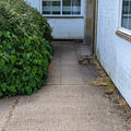 John Krebs Field Station - Entrances - (4 of 9) - Path to entrance