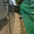 John Krebs Field Station - Outdoor working areas - (1 of 8) - Gravel path