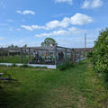 John Krebs Field Station - Outdoor working areas - (4 of 8) - Grass path