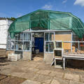 John Krebs Field Station - Outdoor working areas - (6 of 8) - Greenhouse