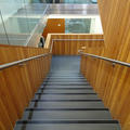 Oxford Molecular Pathology Institute - Stairs - (2 of 2)