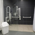 Oxford Molecular Pathology Institute - Toilets - (3 of 3) - Basement toilet and shower