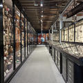 Pitt Rivers Museum - Galleries - (12 of 15) - First floor