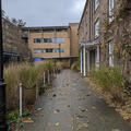 St Hilda's College - College site - (9 of 20) - Path towards accommodation