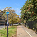 University Parks - Entrances - (1 of 14) - Parks Road pedestrian and cycle path