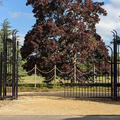 University Parks - Entrances - (3 of 14) - Ginkgo Gate