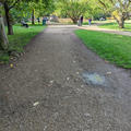University Parks - Paths - (6 of 10) - Uneven path surface