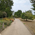 University Parks - Paths - (7 of 10) - Tarmac path