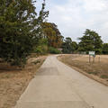 University Parks - Paths - (8 of 10) - Tarmac path