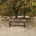 University Parks - Seating - (5 of 8)