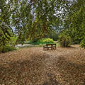 University Parks - Seating - (8 of 8)