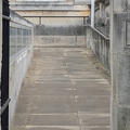 Ashmolean Museum - Entrances - (5 of 10) - Right ramp
