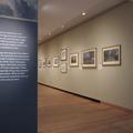 Ashmolean Museum - Exhibition spaces - (2 of 2) 