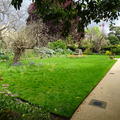 Balliol - Gardens - (3 of 6) - Fellows Garden