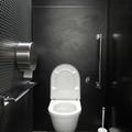 Blavatnik School of Government - Standard toilets - (1 of 5)