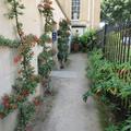 Botanic Garden - Accessible toilets - (2 of 4) 