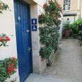 Botanic Garden - Doors - (1 of 4) 