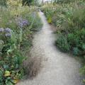 Botanic Garden - Gardens borders and outdoor areas - (3 of 5) 