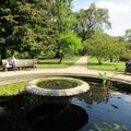 Botanic Garden - Gardens borders and outdoor areas - (5 of 5) 