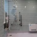 Gibson Building - Toilets - (3 of 6) - Ground floor toilet and shower