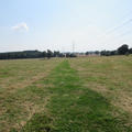 Harcourt Arboretum - Grass footpaths - (2 of 5)