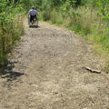 Harcourt Arboretum - Grass footpaths - (3 of 5) 