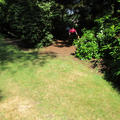 Harcourt Arboretum - Grass footpaths - (5 of 5)