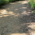 Harcourt Arboretum - Woodchip footpaths - (2 of 2) 
