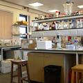 Inorganic Chemistry - Labs - (5 of 5) - Postgraduate lab