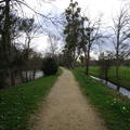 Magdalen - Gardens - (11 of 12) - Addisons Walk