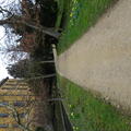Magdalen - Gardens - (2 of 12) - Addisons Walk