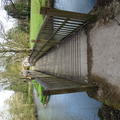 Magdalen - Gardens - (5 of 12) - Bridge Bat Willow Meadow 