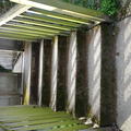 Magdalen - Gardens - (6 of 12) - Bridge Steps - Bat Willow Meadow 