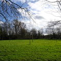 Magdalen - Gardens - (7 of 12) - Bat Willow Meadow 