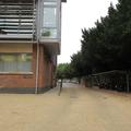 Medical Sciences Teaching Centre - Parking - (2 of 3) 