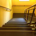 Medical Sciences Teaching Centre - Stairs - (1 of 1) 