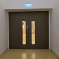 New - Hall - (3 of 7) - Foyer doors