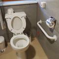 Nissan Institute of Japanese Studies - Accessible toilets - (2 of 3)
