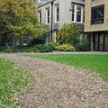 15 Norham Gardens - Garden - (2 of 5) - Path