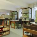 Plant Sciences - Daubney Herbarium - (1 of 3) 
