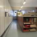 Plant Sciences - Daubney Herbarium - (2 of 3) 