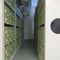 Plant Sciences - Daubney Herbarium - (3 of 3) 